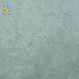 Gạch Viglacera Platinum PT 20-G603