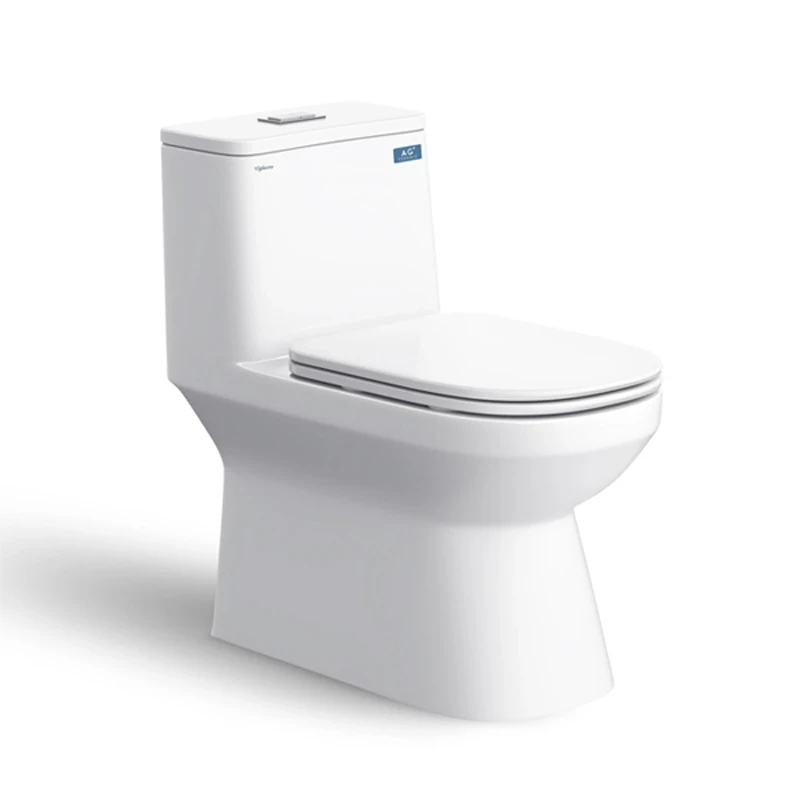 Bồn cầu 1 khối Viglacera V816