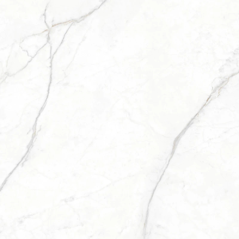 Ảnh Gạch Eurotile PLA S01P 1