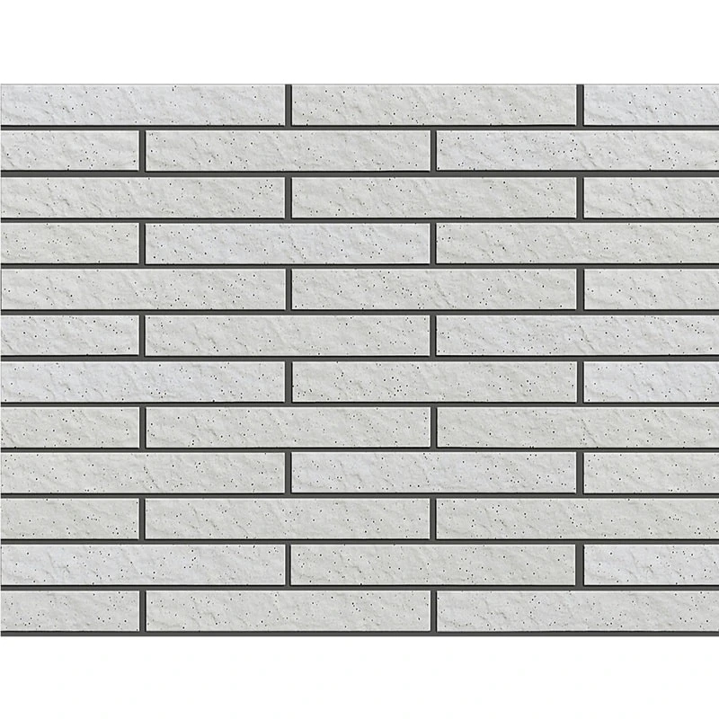 Ảnh Gạch ốp lát INAX-20B/CRB-1 1