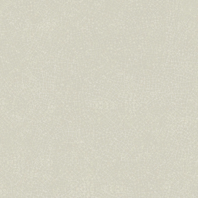 Ảnh Gạch Taicera G68031 1