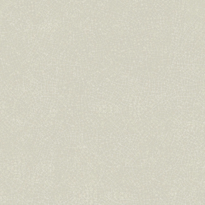 Gạch Taicera G68031