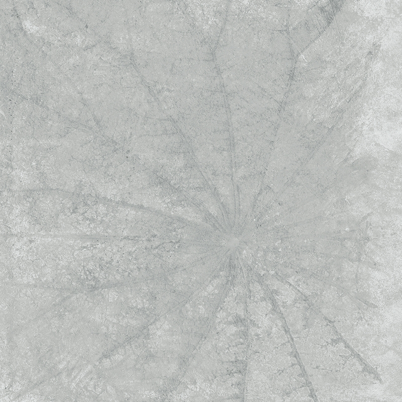 Ảnh Gạch Taicera G98L07 1