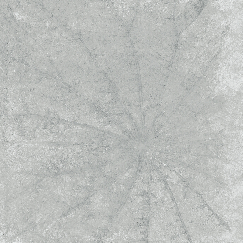 Ảnh Gạch Taicera G98L07 1