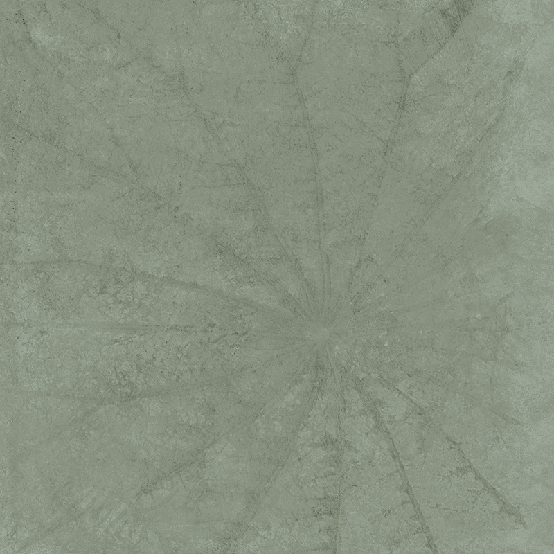 Ảnh Gạch Taicera G98L08 1