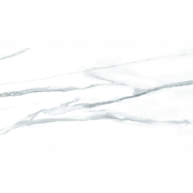 Ảnh Gạch Taicera GP63056 1