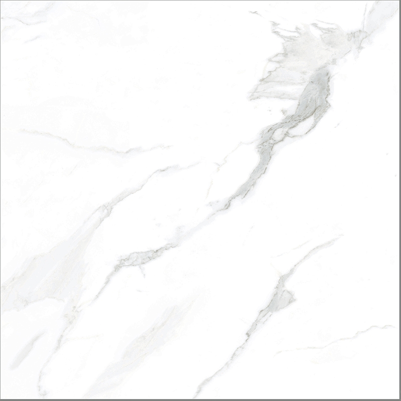 Ảnh Gạch Taicera GP88805 1