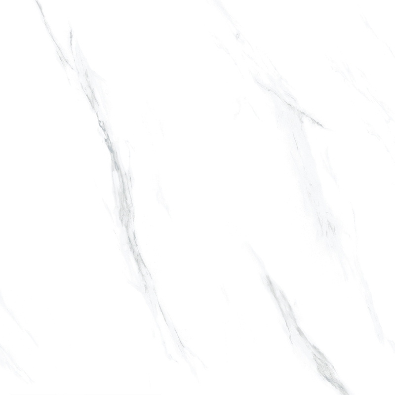 Gạch Taicera GP88865