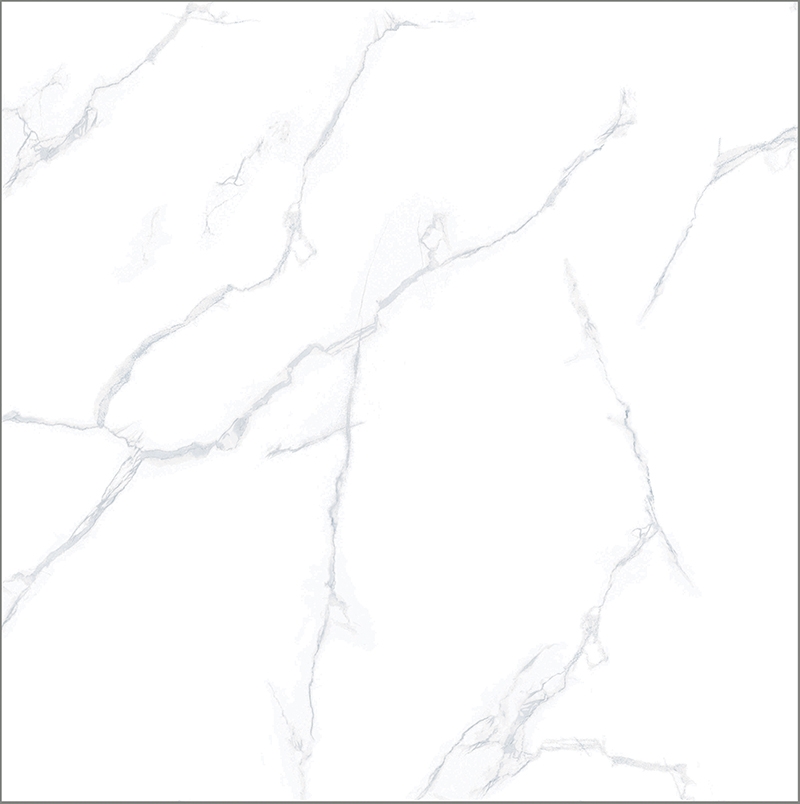 Ảnh Gạch Taicera GP98085 1