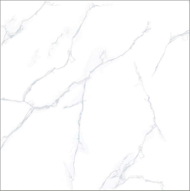 Ảnh Gạch Taicera GP98805 1