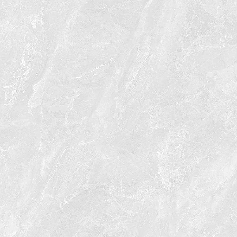 Ảnh Gạch Taicera GP98117 1