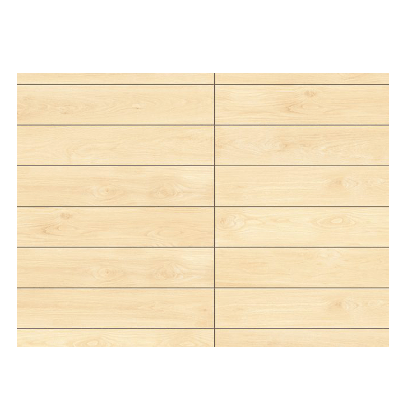 Gạch Đồng Tâm 20120BANYAN002