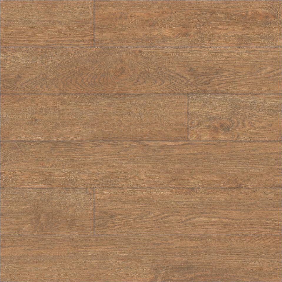 Gạch Đồng Tâm 20120BANYAN005