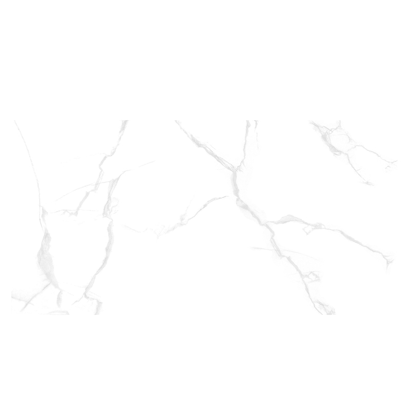 Ảnh Gạch Taicera GP12085 1