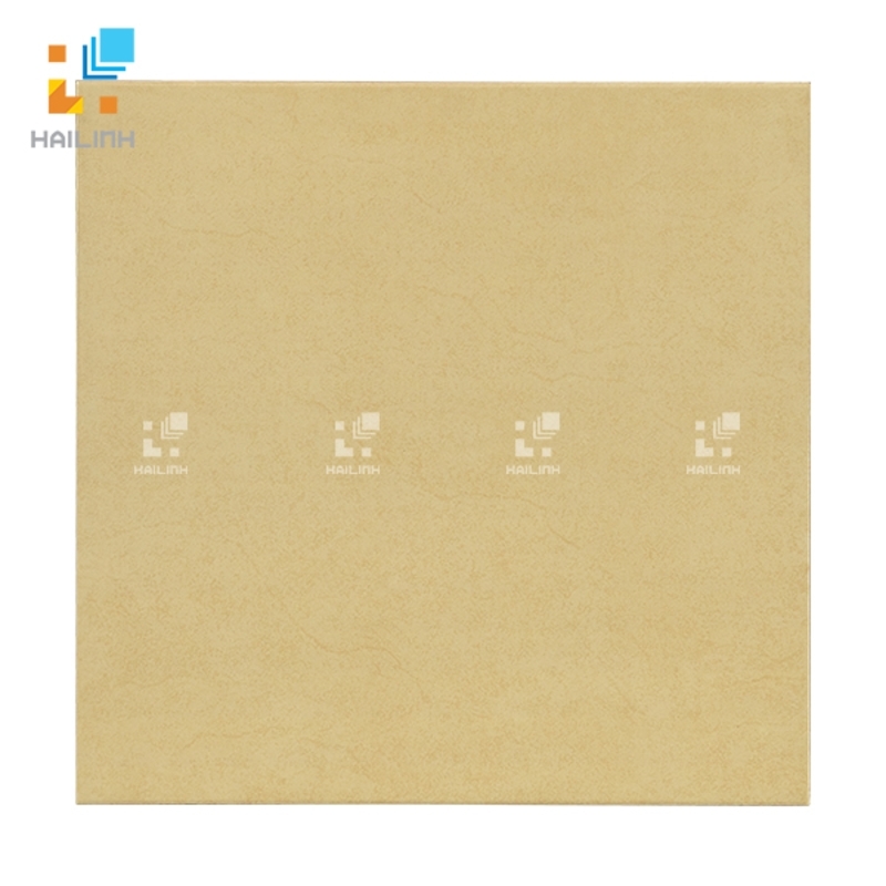 Ảnh Gạch Viglacera V 248 1