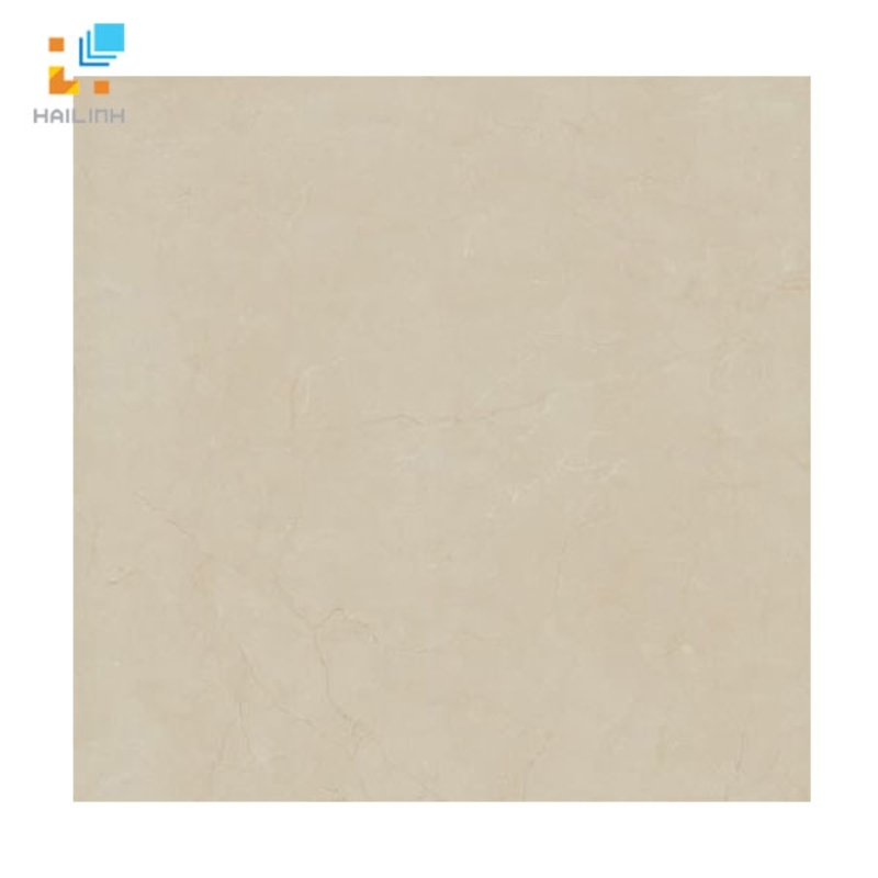 Ảnh Gạch lát nền Viglacera B6009 1