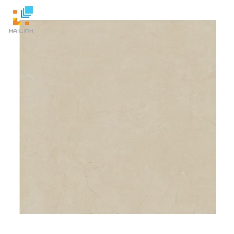 Ảnh Gạch lát nền Viglacera B6009 1