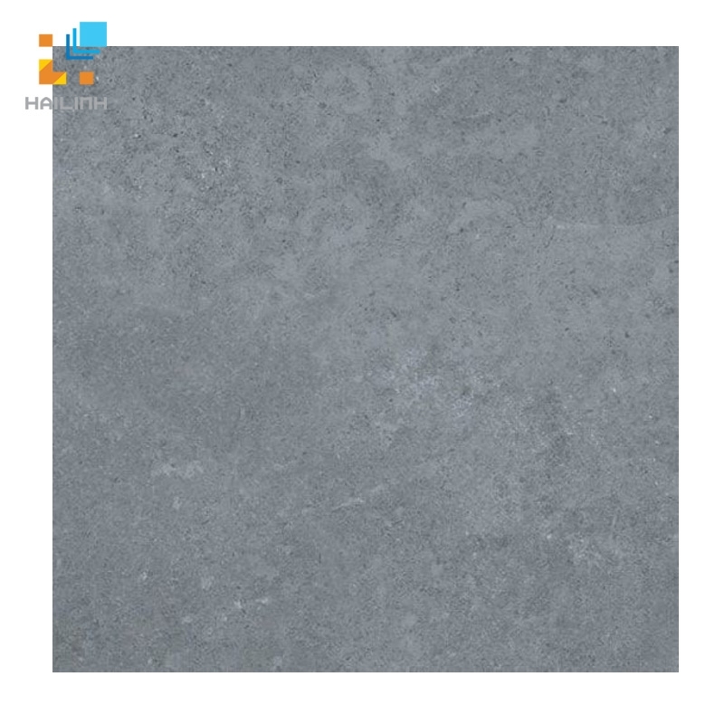 Ảnh Gạch lát nền Viglacera PT 20-603 1