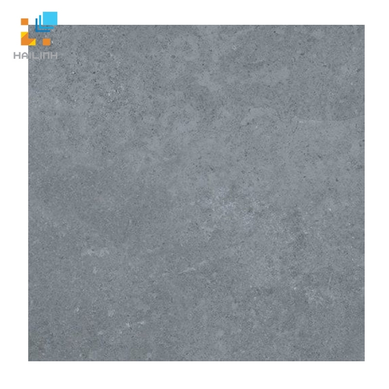 Gạch lát nền Viglacera PT 20-603