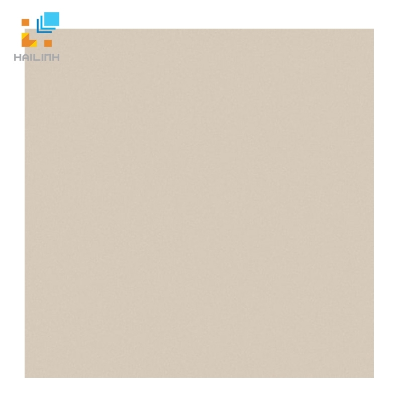 Ảnh Gạch lát nền Viglacera TS5 601 1