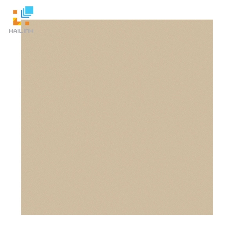 Ảnh Gạch Viglacera TS5 802 1