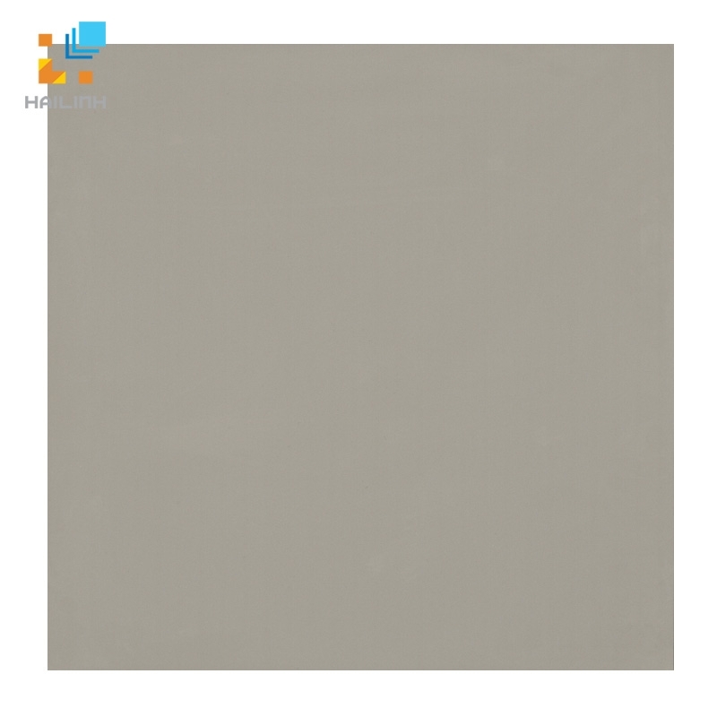 Ảnh Gạch lát nền Viglacera TS6 603 1
