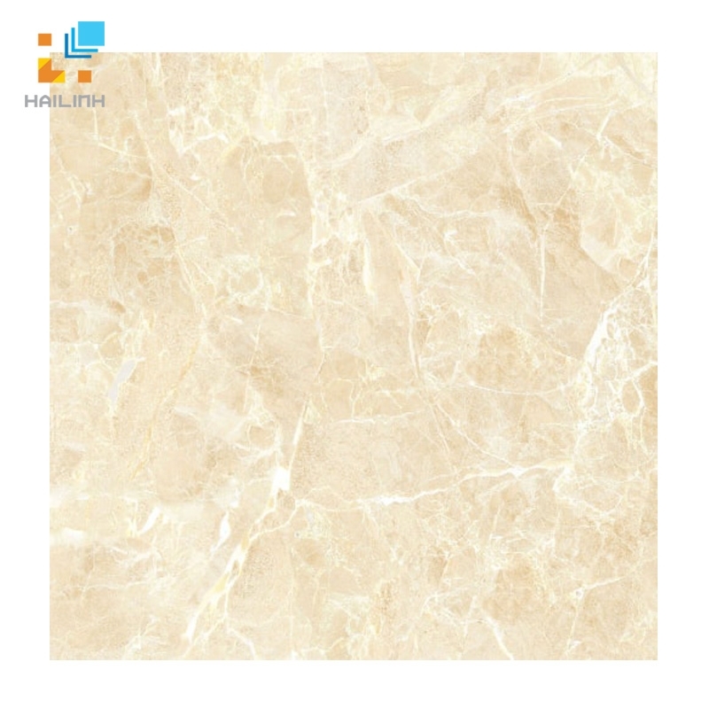 Ảnh Gạch lát nền Viglacera UB6602 1