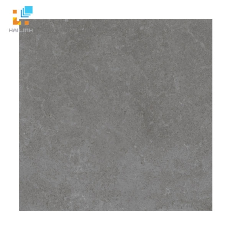 Ảnh Gạch lát nền Viglacera PT 20-601 1
