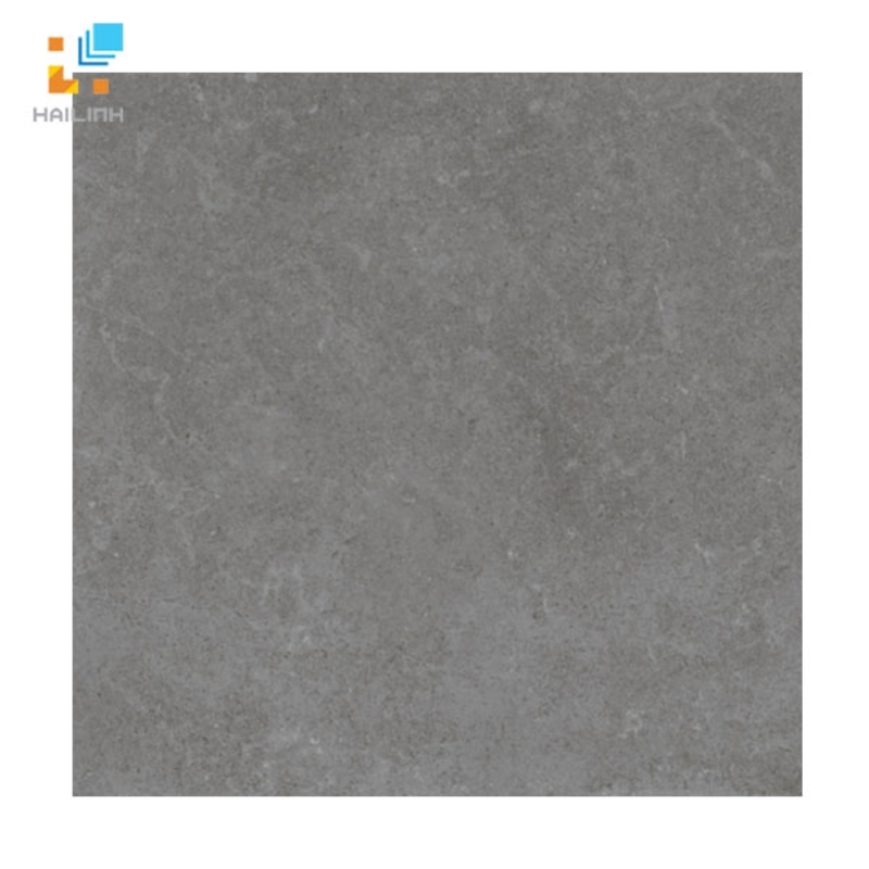 Ảnh Gạch lát nền Viglacera PT 20-601 1