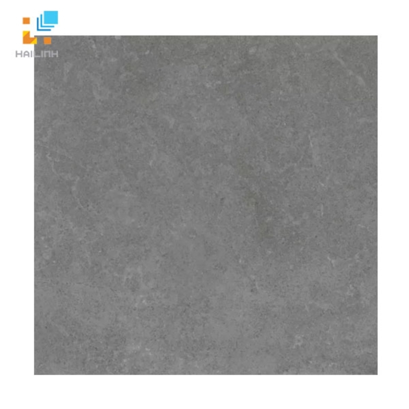 Ảnh Gạch Viglacera Platinum PT 20-G6603 1