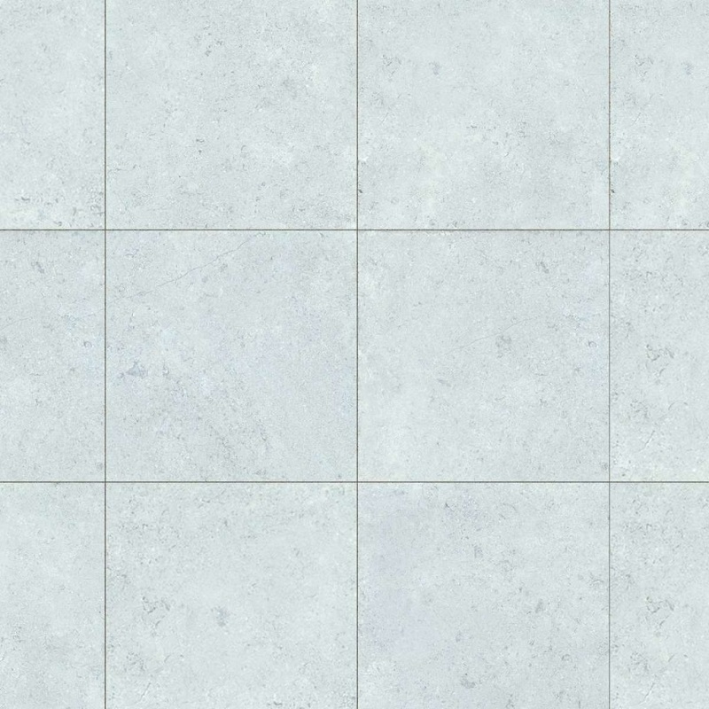 Ảnh Gạch Đồng Tâm 4040GECKO005 1