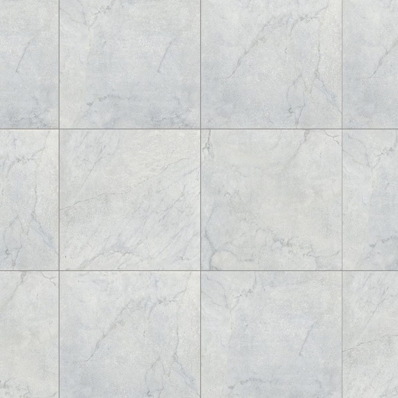 Ảnh Gạch Đồng Tâm 4040GECKO007 1