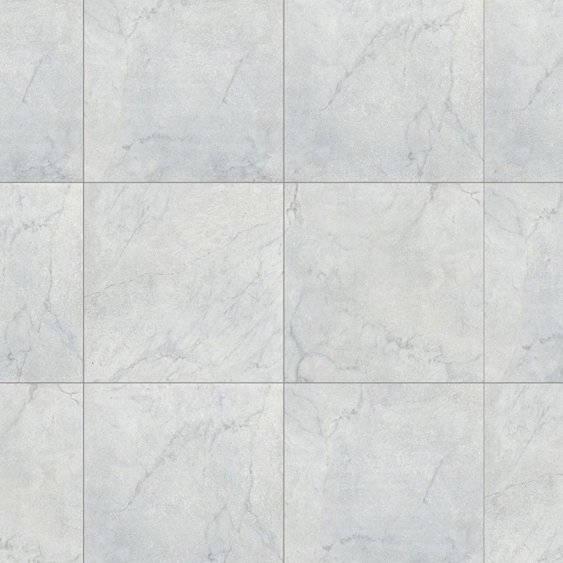 Ảnh Gạch Đồng Tâm 4040GECKO007 1