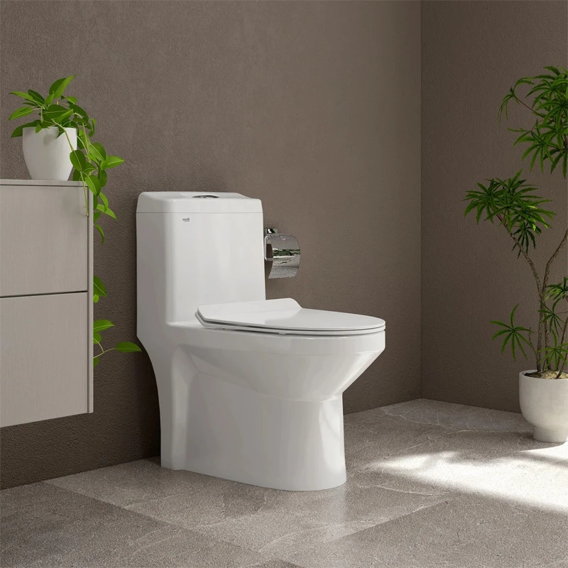 Ảnh Bồn cầu 1 khối Sanfi S301 1