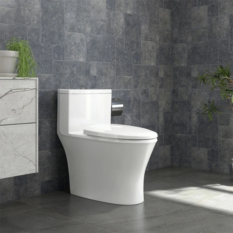 Ảnh Bồn cầu 1 khối Sanfi S303 1