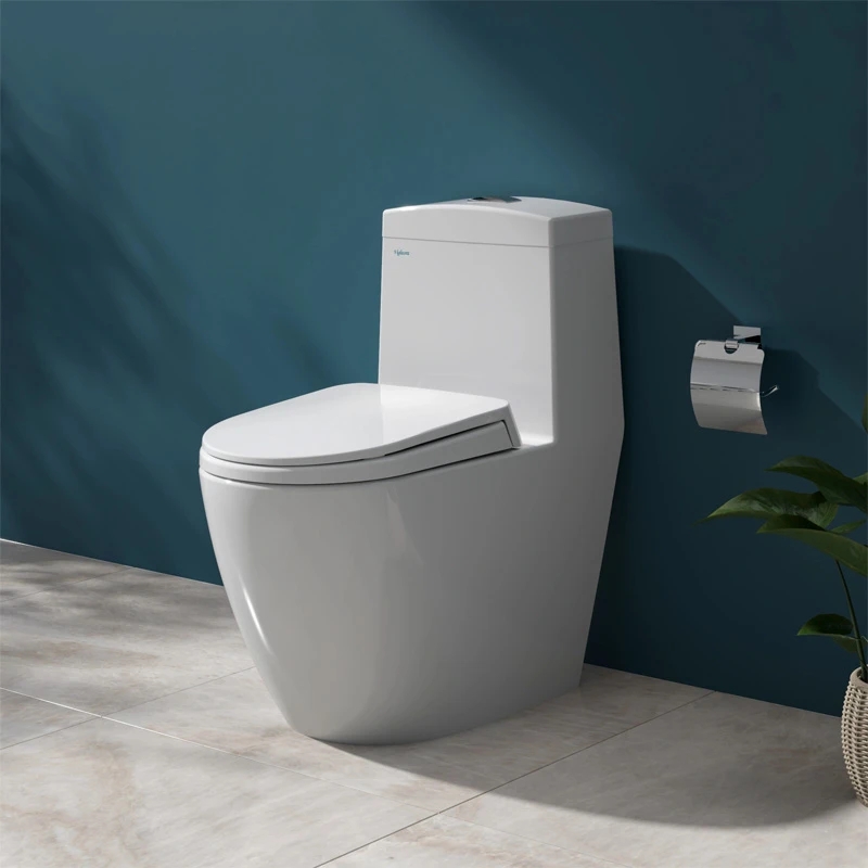 Ảnh Bồn cầu 1 khối Viglacera V199 1