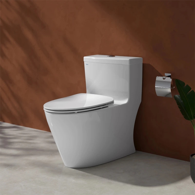 Ảnh Bồn cầu 1 khối Viglacera V62 1