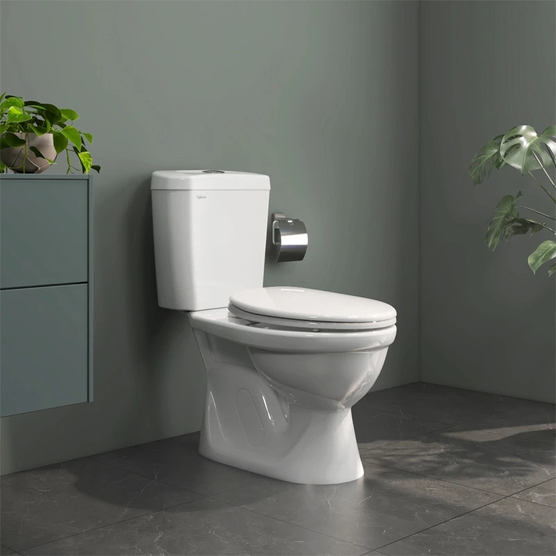 Bồn cầu Viglacera VI88