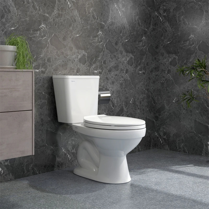 Ảnh Bồn cầu 2 khối Viglacera VT34 1