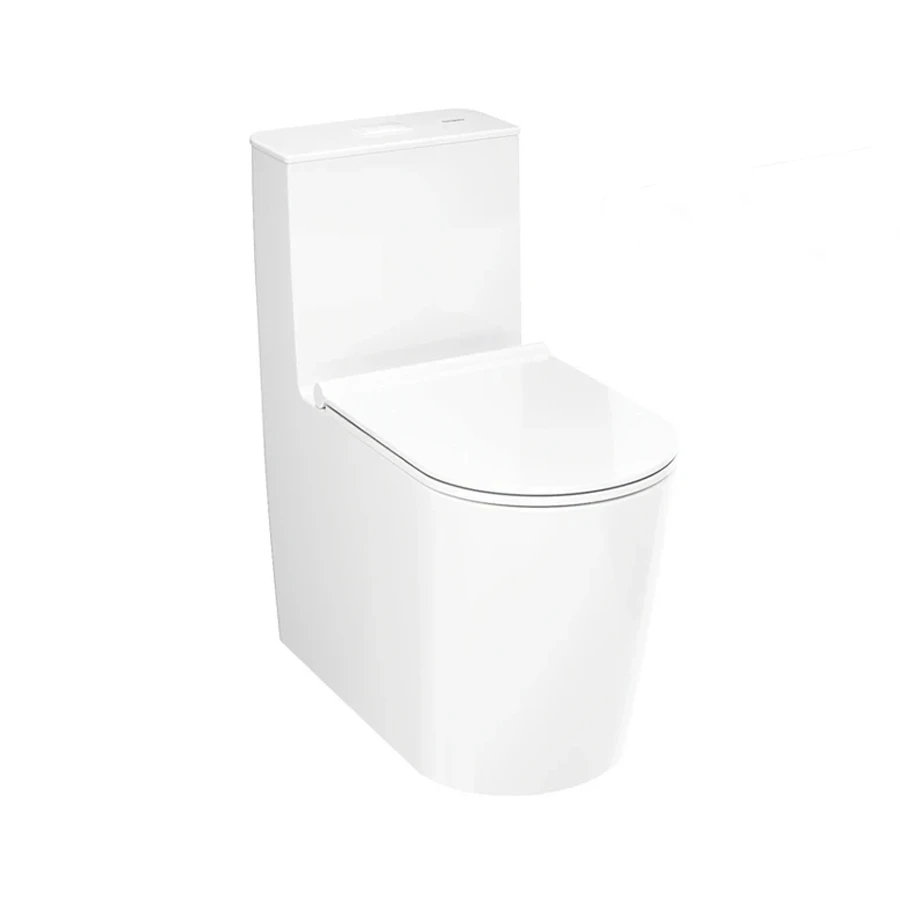 Ảnh Bồn cầu 1 khối Hansgrohe 22431007/22433007 1