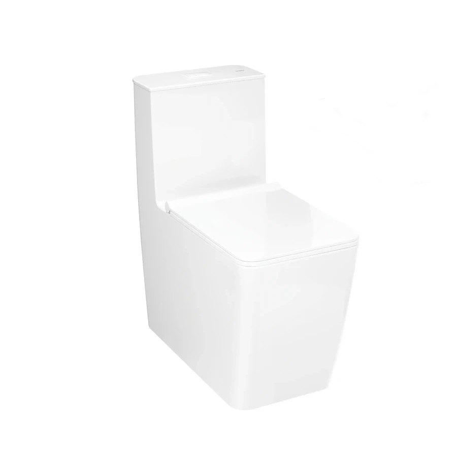 Bồn cầu 1 khối Hansgrohe 22434007/22436007