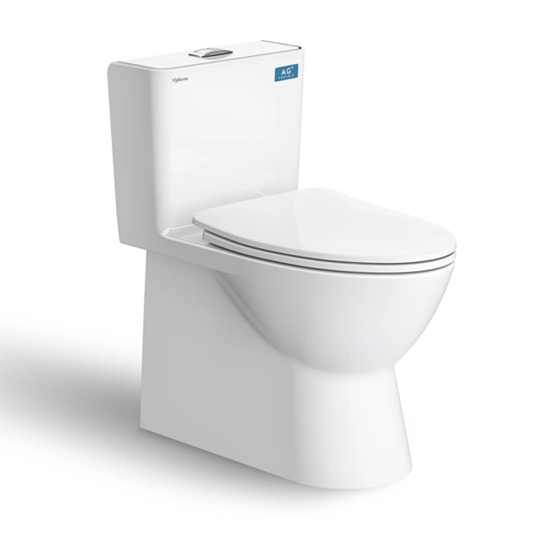 Bồn cầu Viglacera V808