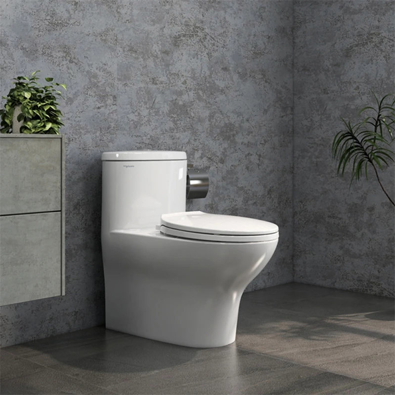 Bồn cầu 1 khối Viglacera V37S