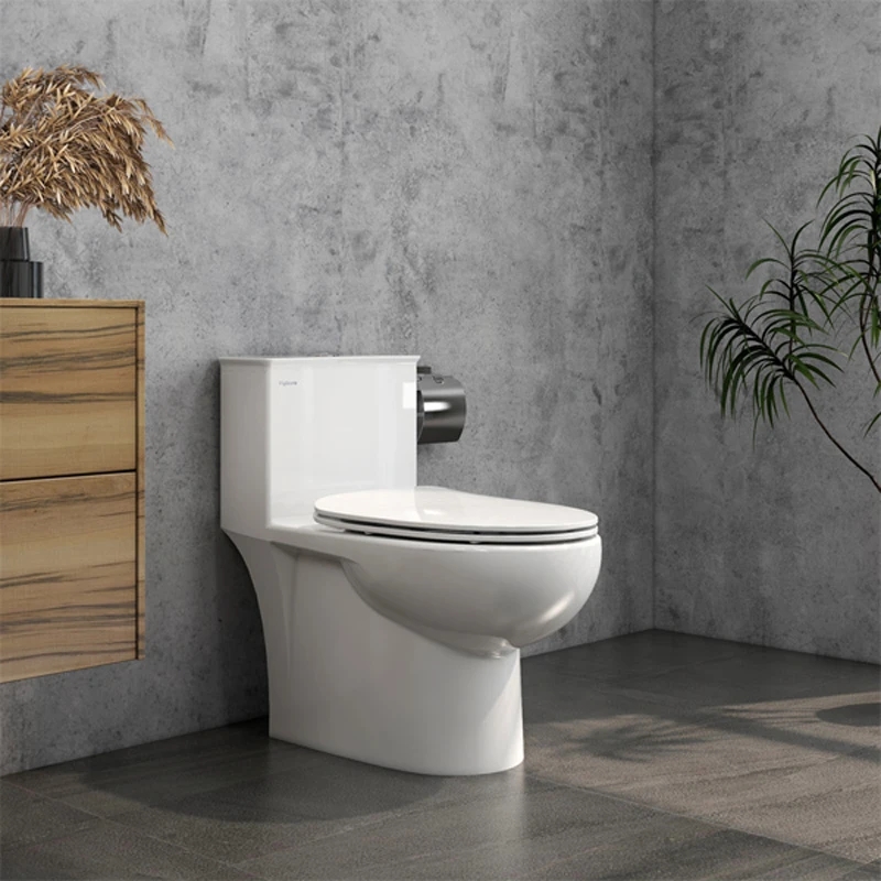 Ảnh Bồn cầu 1 khối Viglacera V819 1