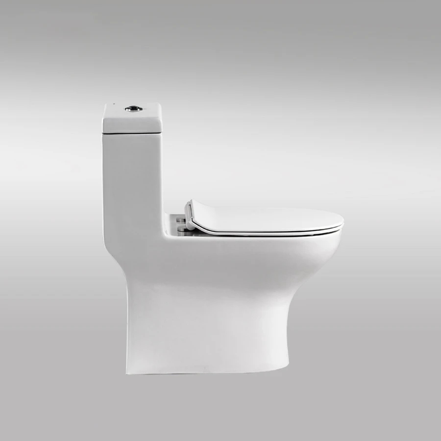 Ảnh Bồn cầu 1 khối Bravat C21165XUW-3 1