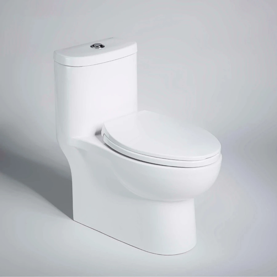 Ảnh Bồn cầu 1 khối Bravat C2168XW-3B-ENG 1