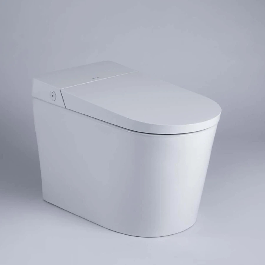 Ảnh Bồn cầu thông minh Bravat C21295W-3-VP 1