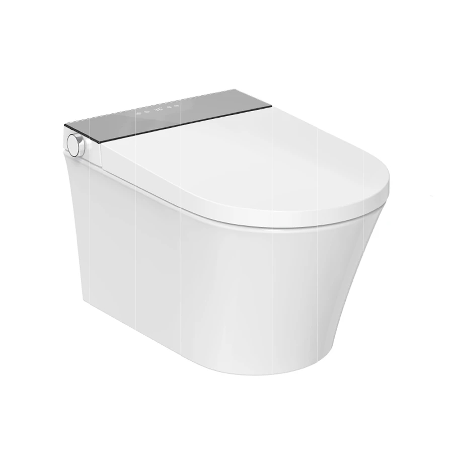 Ảnh Bồn cầu thông minh Bravat C29003W3-VP 1