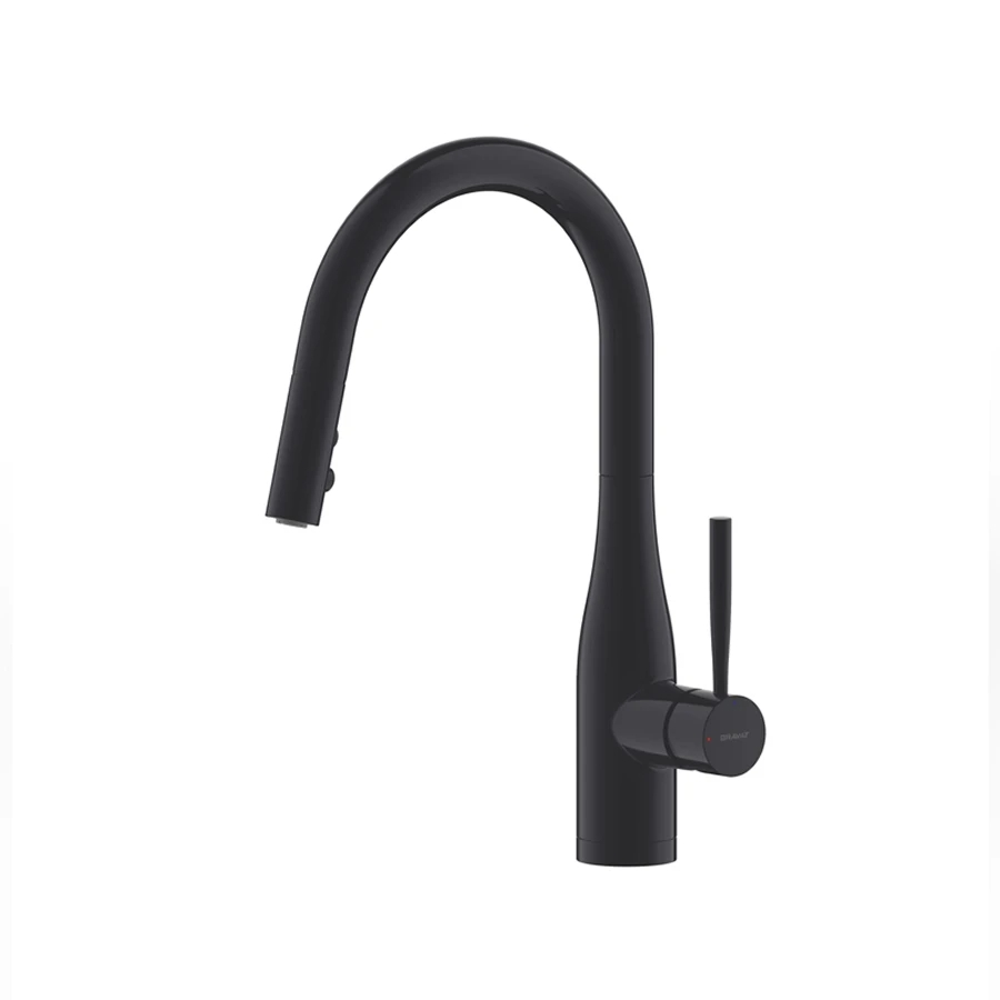 Ảnh Vòi chậu bếp Bravat F7164208BW-1B-ENG 1