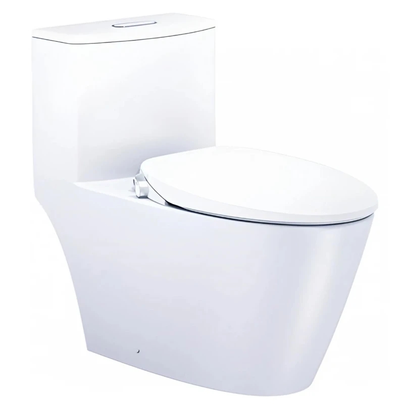 Ảnh Bồn cầu thông minh Caesar C1363F + TAF060 1